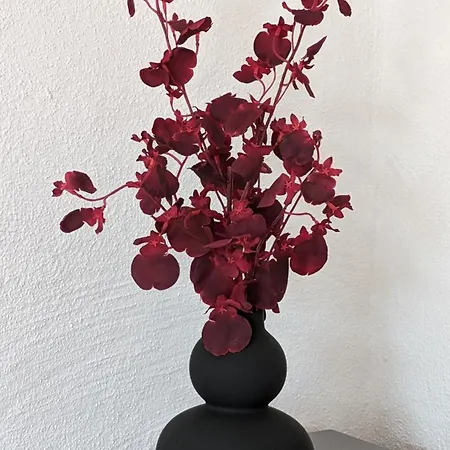 Apartmán Im Kontor *